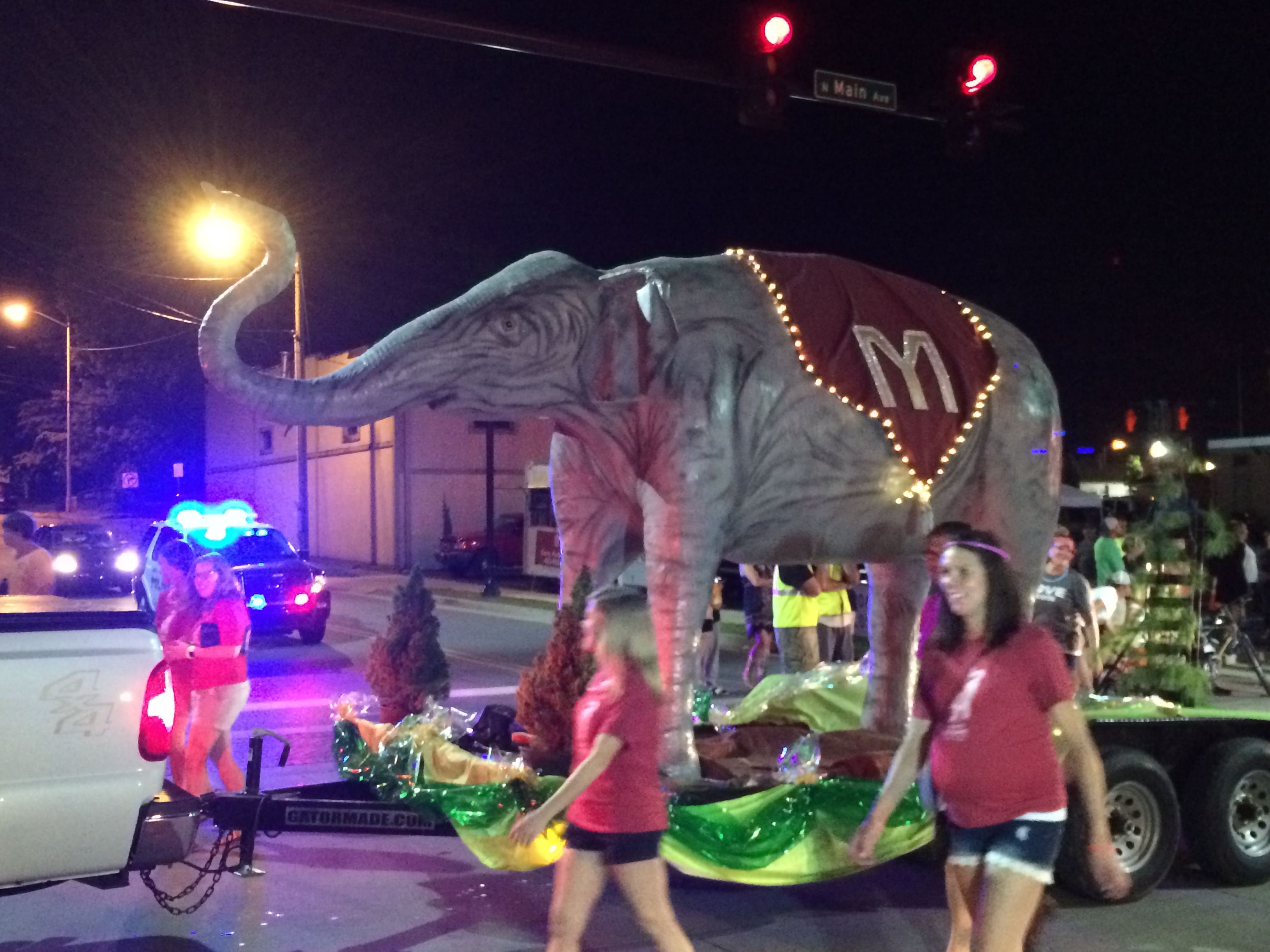 Erwin Elephant Revival EleNotes The Elephant Sanctuary in Tennessee